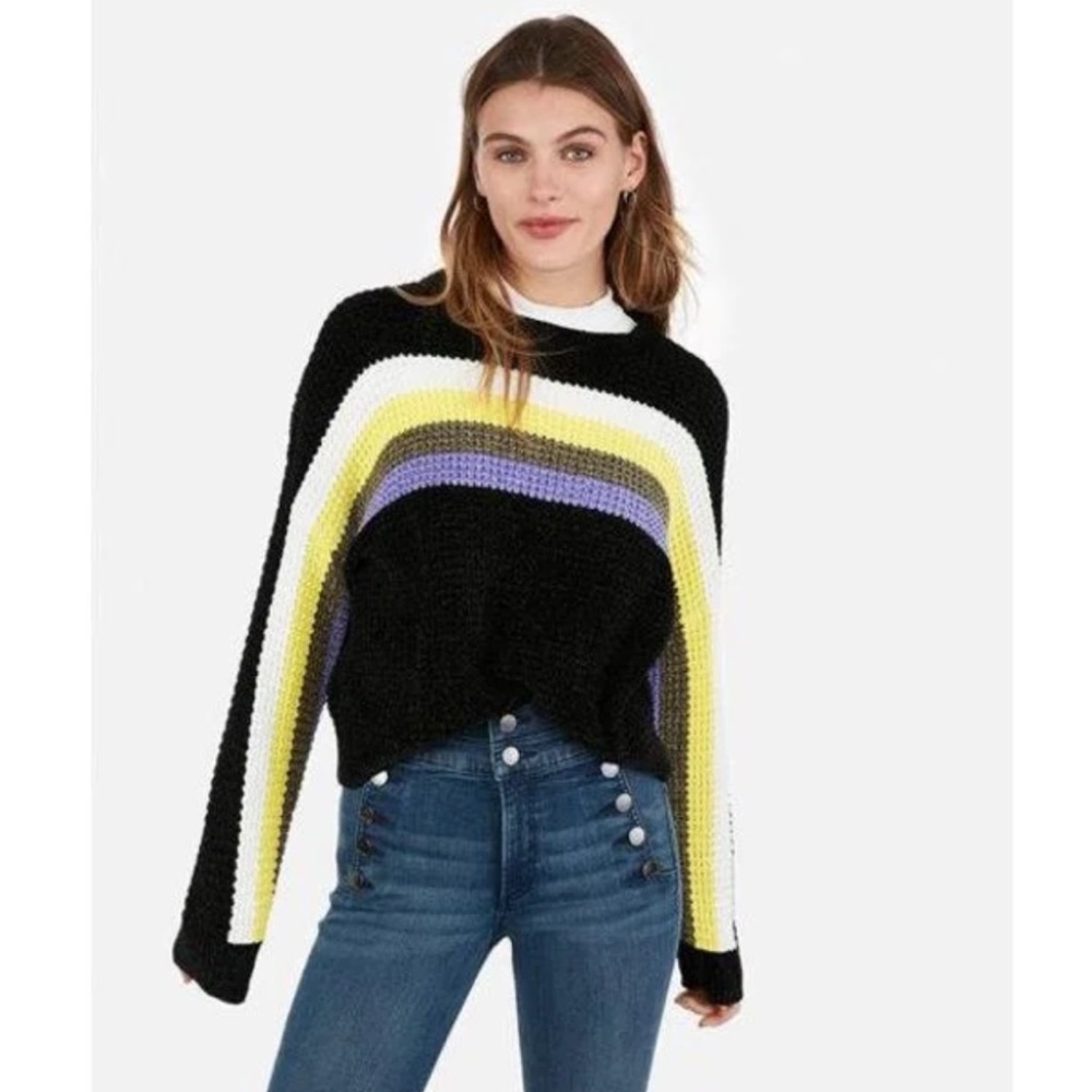 NWOT Express Cropped Knit Sweater with Stripes